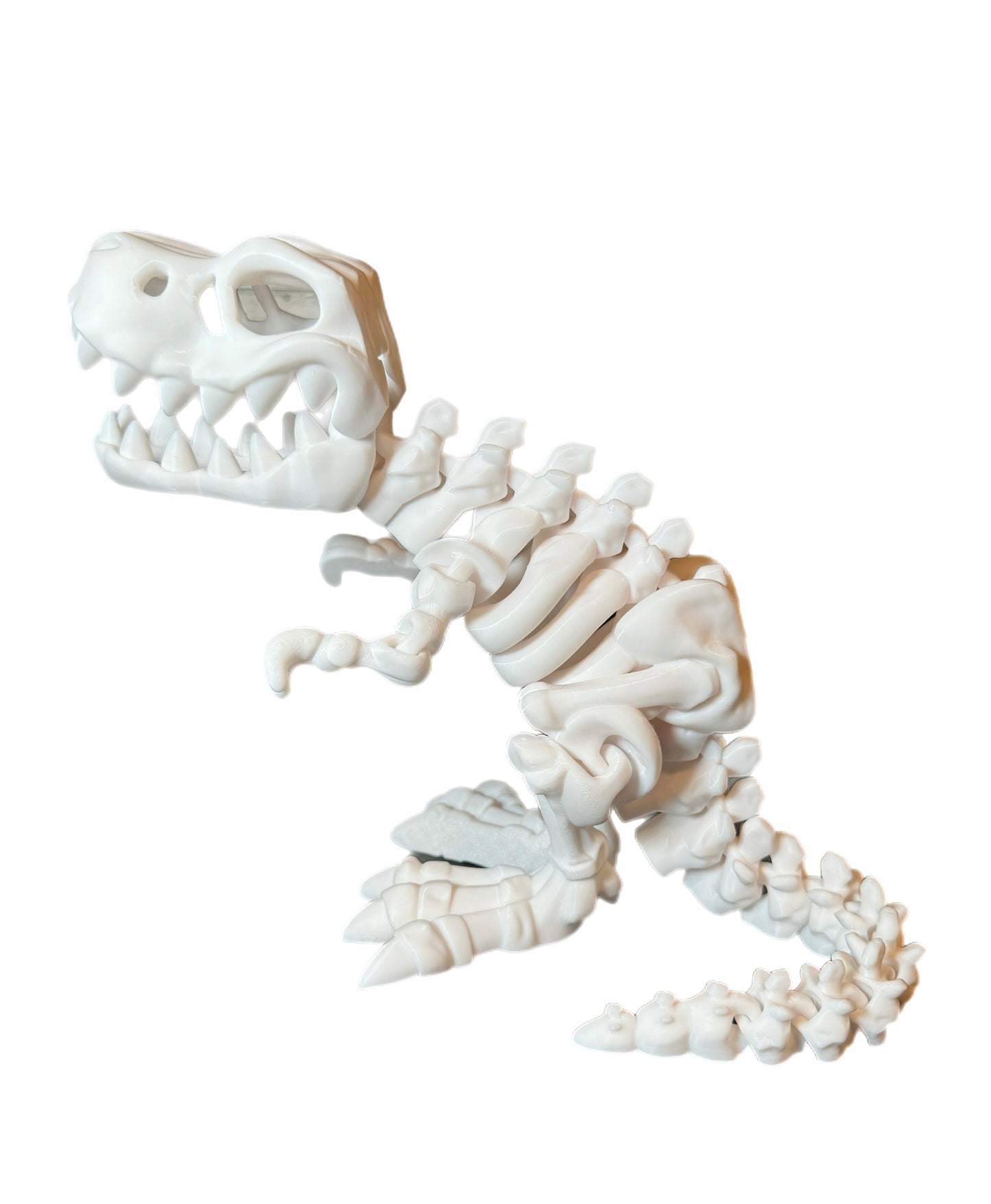 🦖 3D T-Rex 🦖