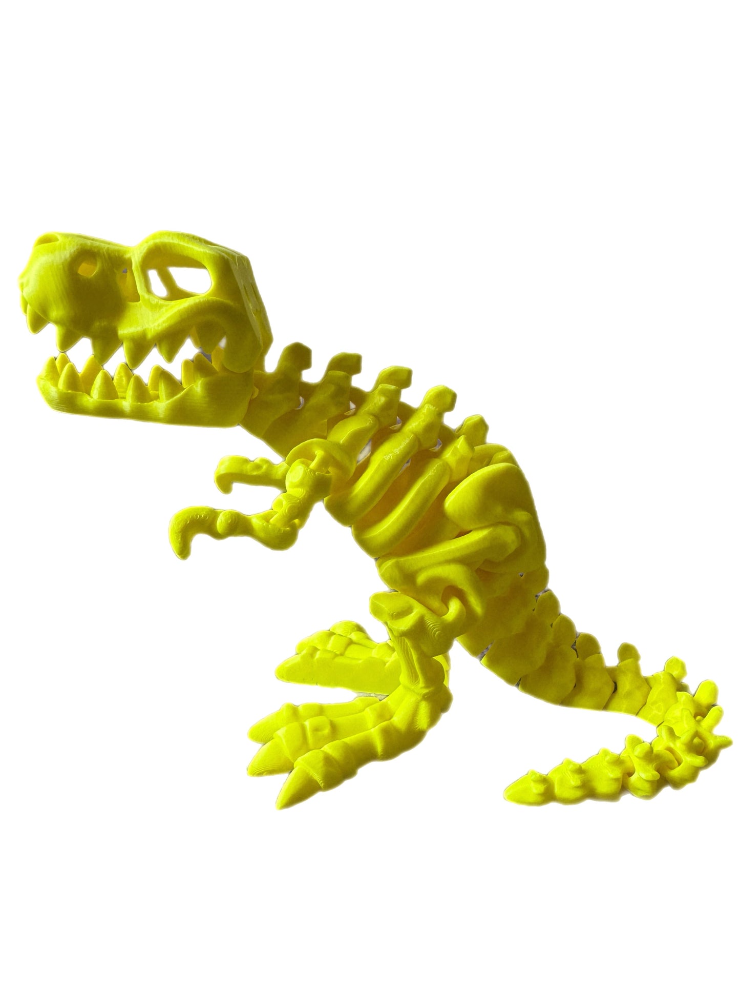 🦖 3D T-Rex 🦖