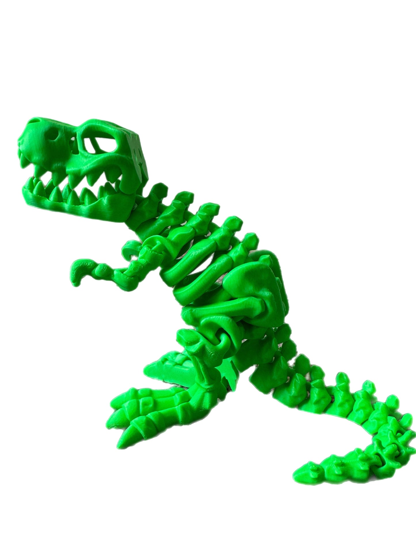 🦖 3D T-Rex 🦖