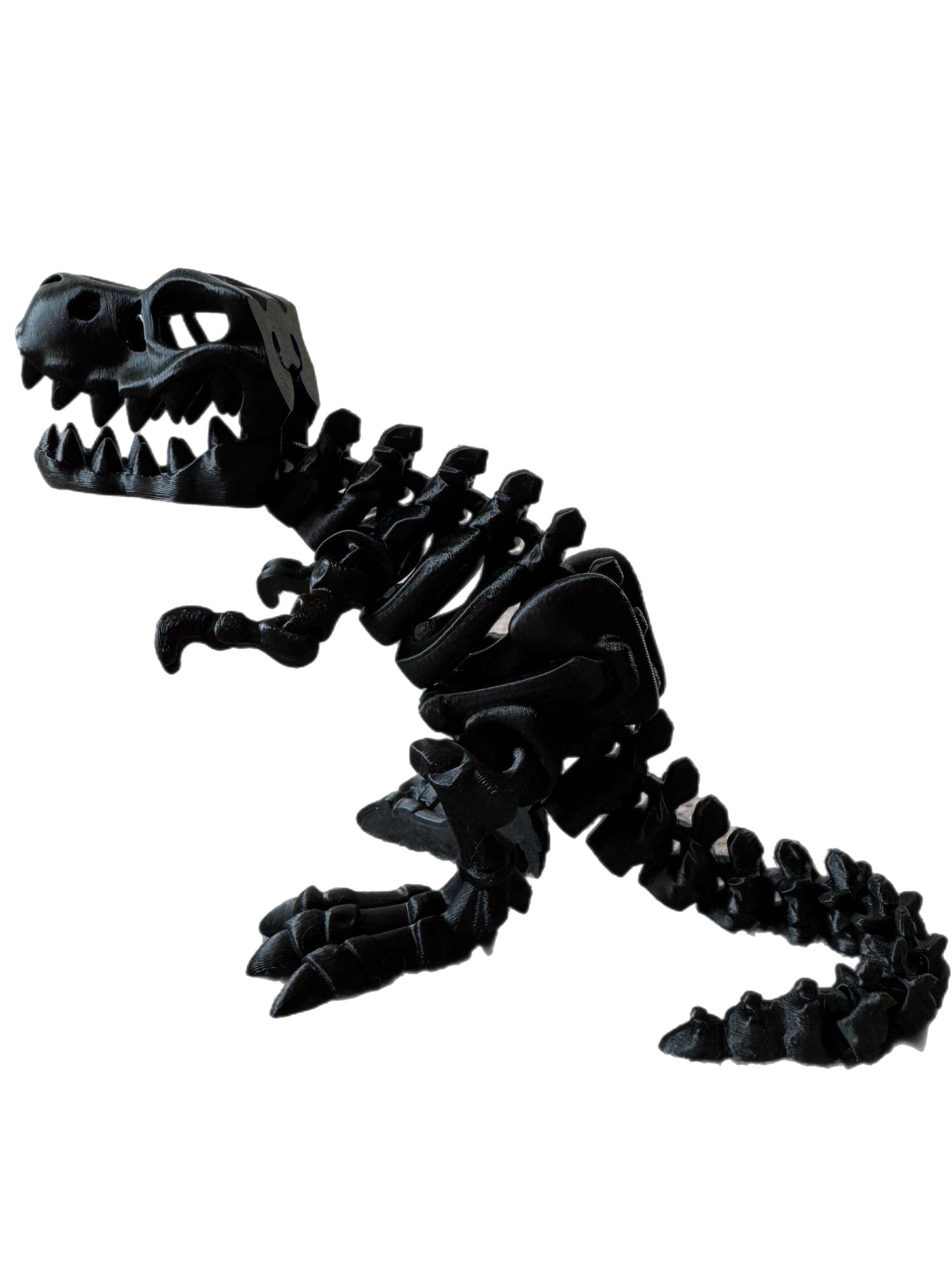 🦖 3D T-Rex 🦖