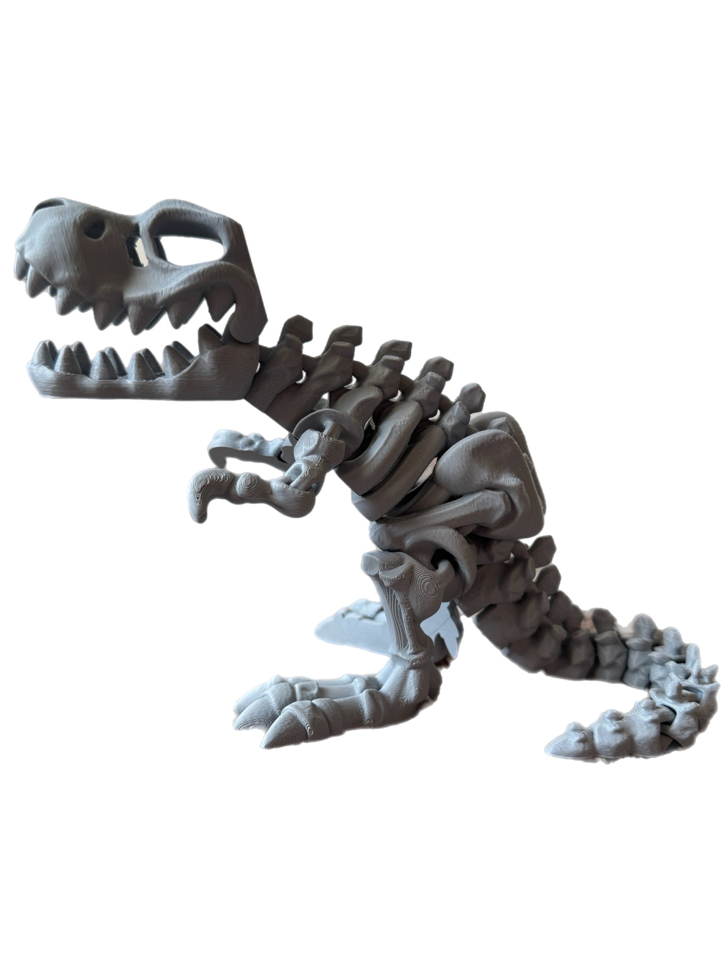 🦖 3D T-Rex 🦖