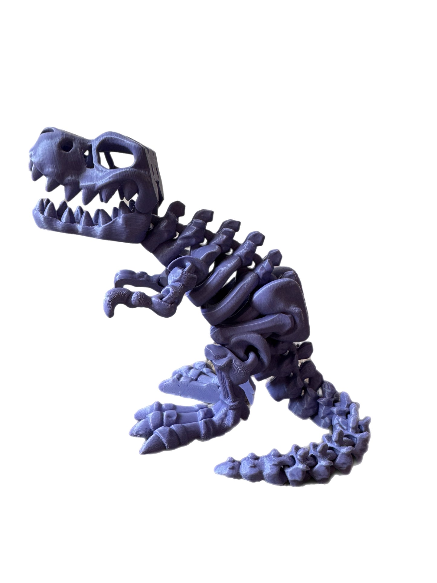 🦖 3D T-Rex 🦖