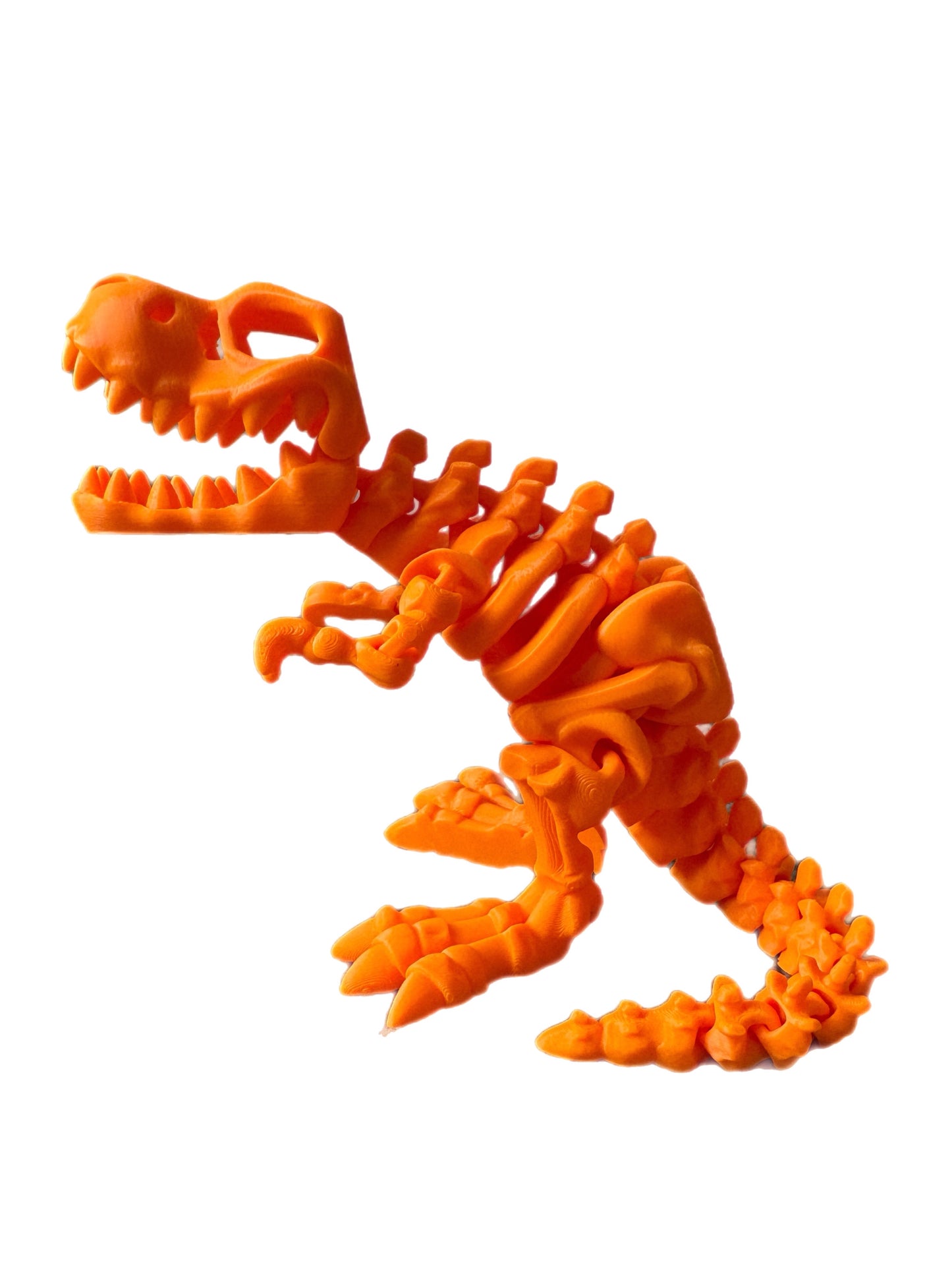 🦖 3D T-Rex 🦖