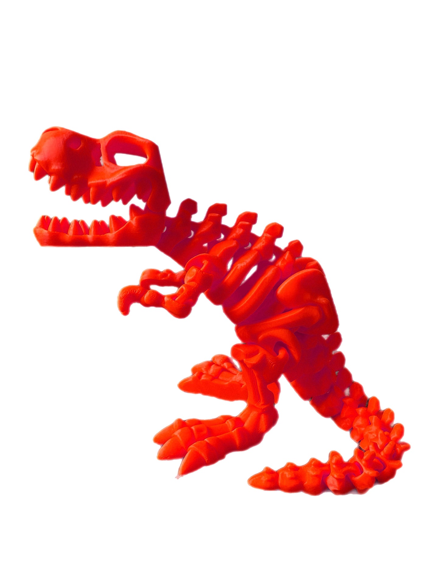 🦖 3D T-Rex 🦖