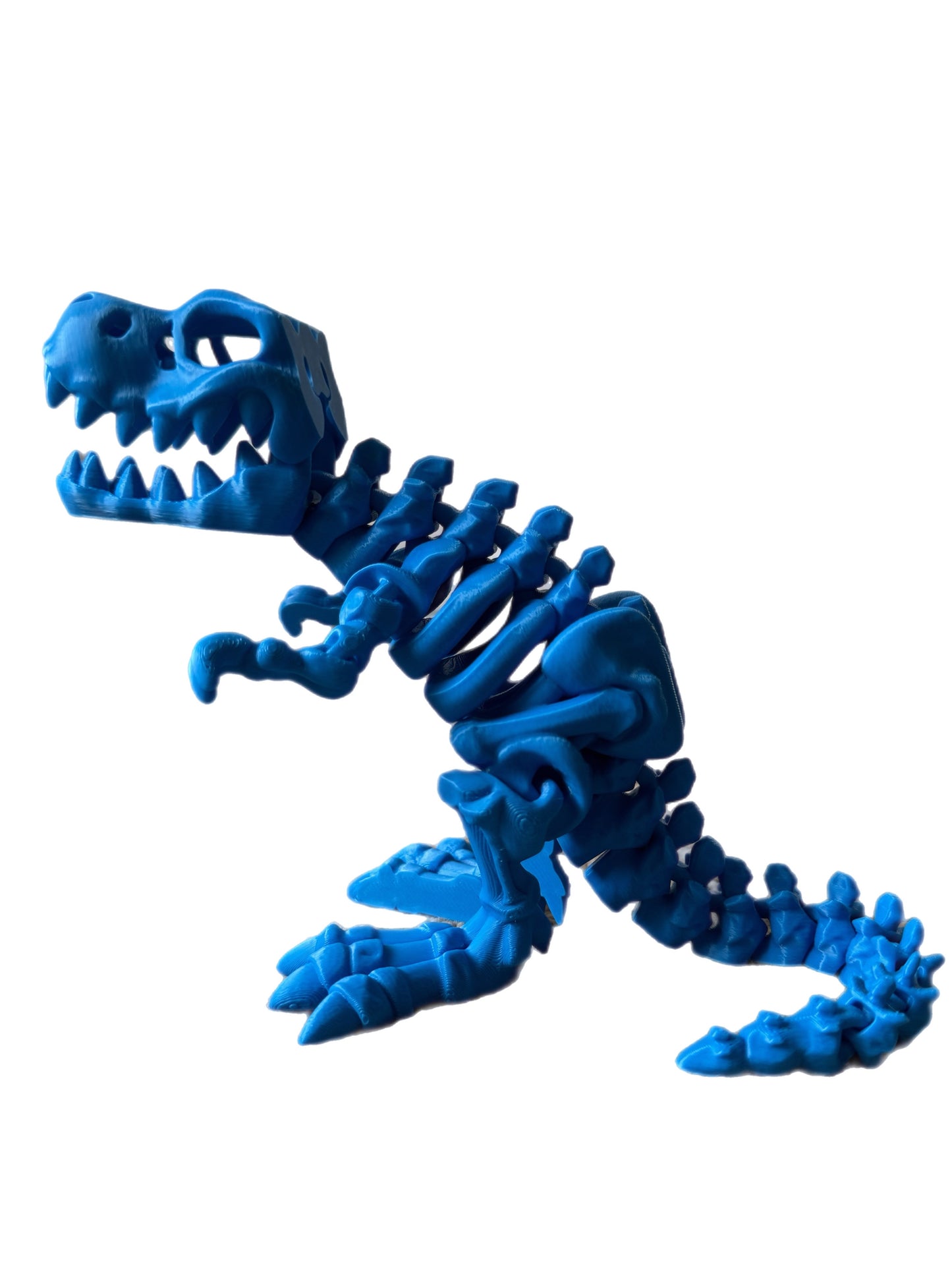 🦖 3D T-Rex 🦖