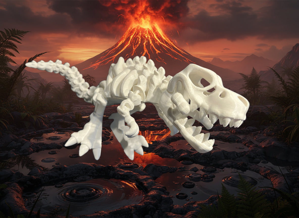 Dino Skeleton (T-Rex)